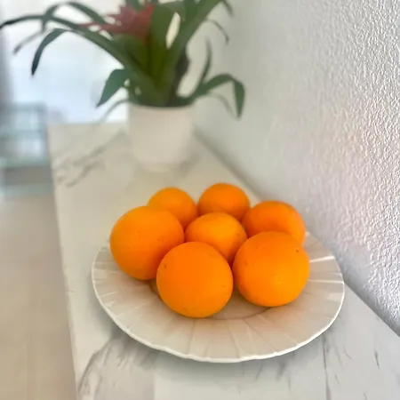 Refugio De Hedonista, Con Encanto *