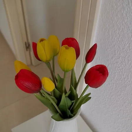 Apartamento Refugio De Hedonista, Con Encanto Calpe