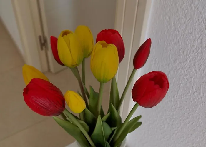 Apartmán Refugio De Hedonista, Con Encanto Calpe